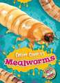 Mealworms