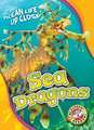 Sea Dragons