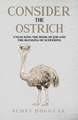 Consider the Ostrich