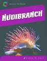 Nudibranch