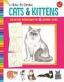 How to Draw Cats & Kittens