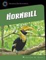 Great Hornbill