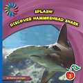 Discover Hammerhead Shark