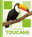 Toucans