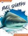 Bull Sharks