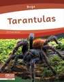 Tarantulas