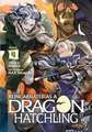 Reincarnated as a Dragon Hatchling (Light Novel) Vol. 4