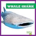 Whale Shark