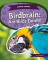 Birdbrain: Are Birds Dumb?