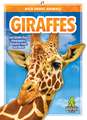 Giraffes