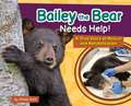 Bailey the Bear Needs Help!