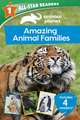 Animal Planet All-Star Readers: Amazing Animal Families Level 1: Includes 4 Readers!