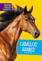 Caballos Árabes