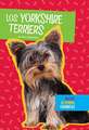 Los Yorkshire Terriers