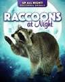 Raccoons at Night