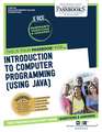 Introduction to Computer Programming (Using Java) (Rce-99): Passbooks Study Guide Volume 99