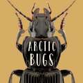 Arctic Bugs: English Edition