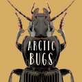 Arctic Bugs