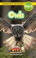 Owls