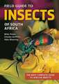 Field Guide to Insects of South Africa