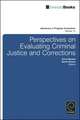 Perspectives On Evaluating Criminal Justice and Corrections