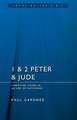 1 & 2 Peter & Jude: Christians Living in an Age of Suffering