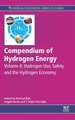 Compendium of Hydrogen Energy: Hydrogen Use, Safety and the Hydrogen Economy