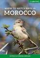 Where to Watch Birds in Morocco