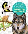 Animal Kingdom Colour by Numbers