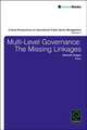 Multi–Level Governance – The Missing Linkages