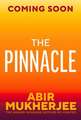 The Pinnacle