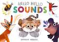 Hello Hello Sounds