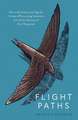 Flight Paths