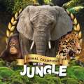 Jungle