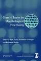 Current Issues in Morphological Processing: A Special Issue of Language And Cognitive Processes