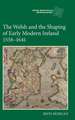 The Welsh and the Shaping of Early Modern Ireland, 1558–1641