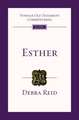 Esther – Tyndale Old Testament Commentary