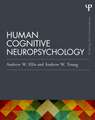 Human Cognitive Neuropsychology (Classic Edition): Selected Works of Jonathan St B.T. Evans