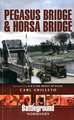 Pegasus Bridge & Horsa Bridge: British 6th Airborne Division Landings in Normandy D-Day 6th June 1944