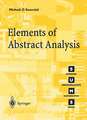 Elements of Abstract Analysis