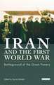 Iran and the First World War: Battleground of the Great Powers