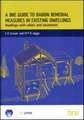 A Bre Guide to Radon Remedial Measures in Existing Dwellings: Dwellings with Cellars and Basements (Br 343)