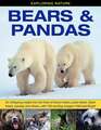 Exploring Nature: An Intriguing Insight Into the Lives of Brown Bears, Polar Bears, Black Bears, Pandas and Others, with 190 Exciting