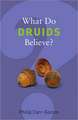 What Do Druids Believe?