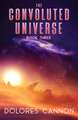 The Convoluted Universe, Book Three