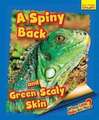 Whose Little Baby Are You? A Spiny Back and Green Scaly Skin