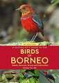 A Naturalist's Guide to the Birds of Borneo