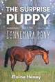 The Surprise Puppy and the Connemara Pony - The Coral Cove Horses Series