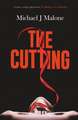 The Cutting: The dark spine-tingling new Annie Jackson mystery