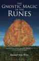 The Gnostic Magic of the Runes: Gnosis, the Aeneid, and the Liberation of the Consciousness